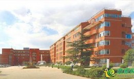 邯郸爆料新闻最新消息,揭秘某重大事件背后真相